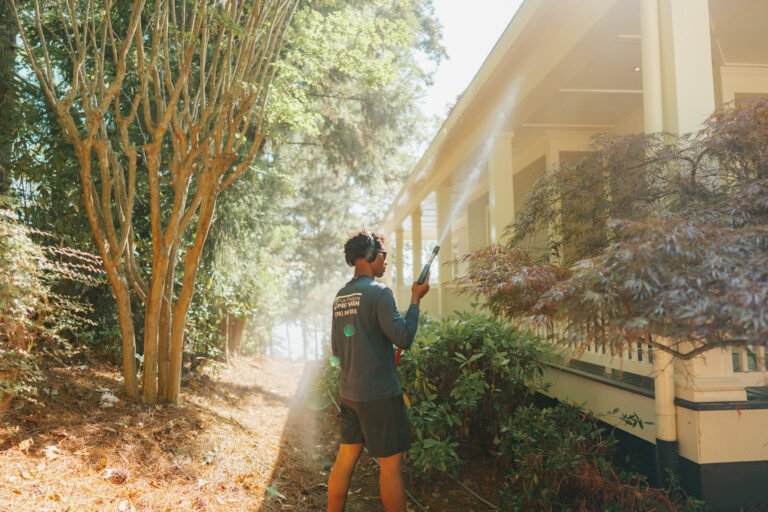 Why Athens Homes Get Green & Black Stains Every Year (And How to Fix It)